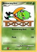 Boomerang Bird