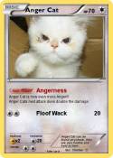 Anger Cat