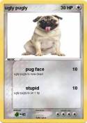 ugly pugly