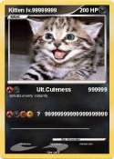Kitten lv.99999