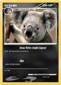 ko koala