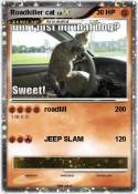 Roadkiller cat