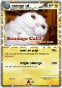 sausage cat
