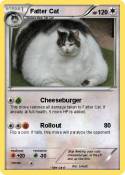 Fatter Cat