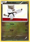 karate kitten