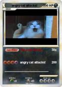 angry cat attac
