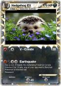 Hedgehog EX