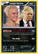Trumps Hairline
