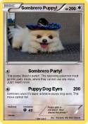 Sombrero Puppy!