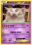 Bonked cat