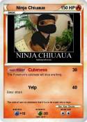 Ninja Chiuaua
