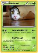 Burrito kat
