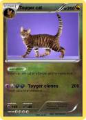 Toyger cat