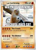 Lol Cat Driving