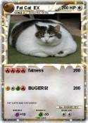 Fat Cat EX