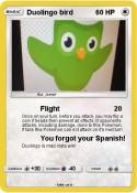 Duolingo bird