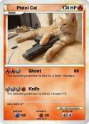 Pistol Cat