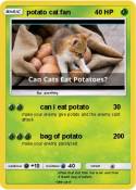 potato cat fan