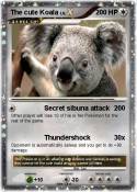 The cute Koala