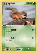 baby squirrel