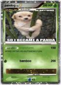 pandog
