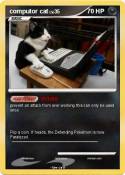 computor cat