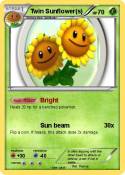Twin Sunflower(