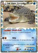 Salt Water Croc