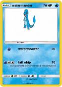 watermander