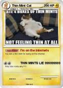 Thin Mint Cat