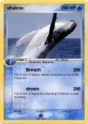whaleso