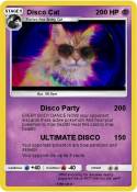 Disco Cat