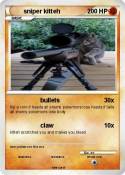 sniper kitteh