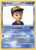 Cub Scout