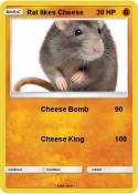 Rat likes Chees