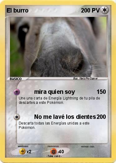 Pokemon El burro