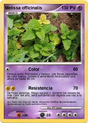 Pokemon Melissa officinalis