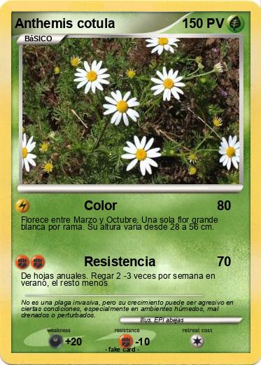 Pokemon Anthemis cotula