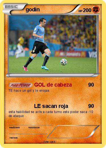 Pokemon godin