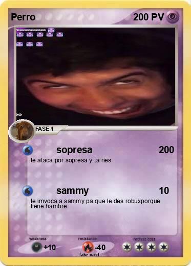 Pokemon Perro