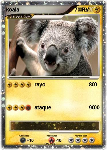 Pokemon koala                                         0