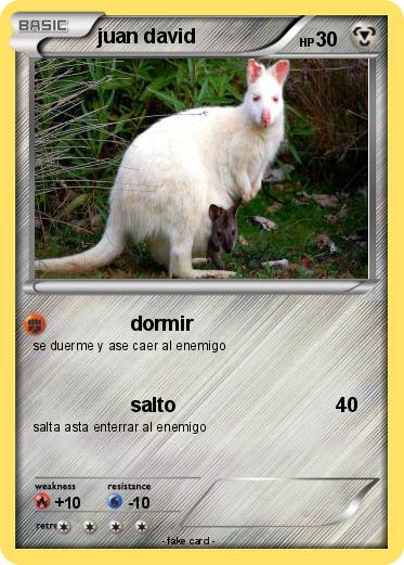 Pokemon juan david