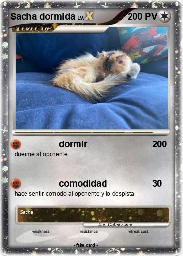 Pokemon Sacha dormida