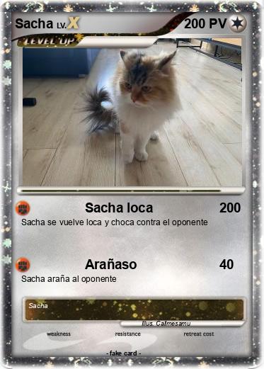 Pokemon Sacha