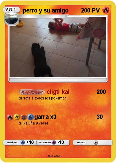 Pokemon perro y su amigo