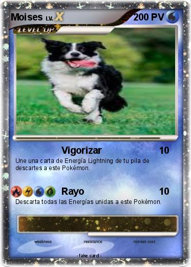 Pokemon Moises
