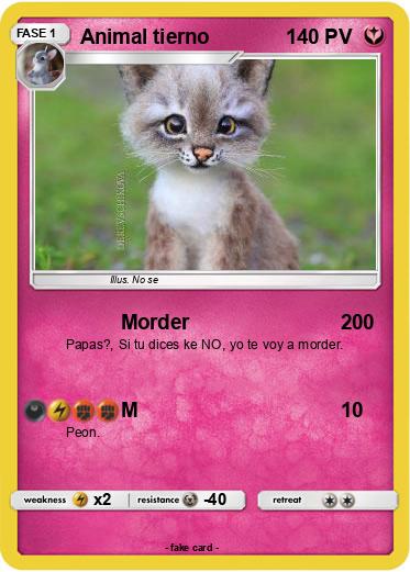 Pokemon Animal tierno