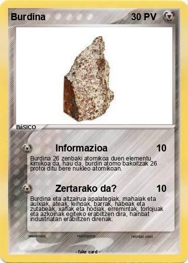 Pokemon Burdina