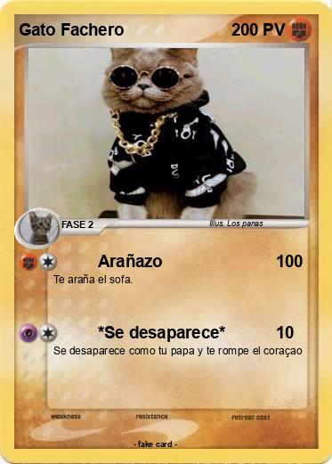 Pokemon Gato Fachero