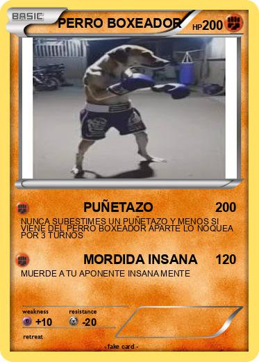 Pokemon PERRO BOXEADOR